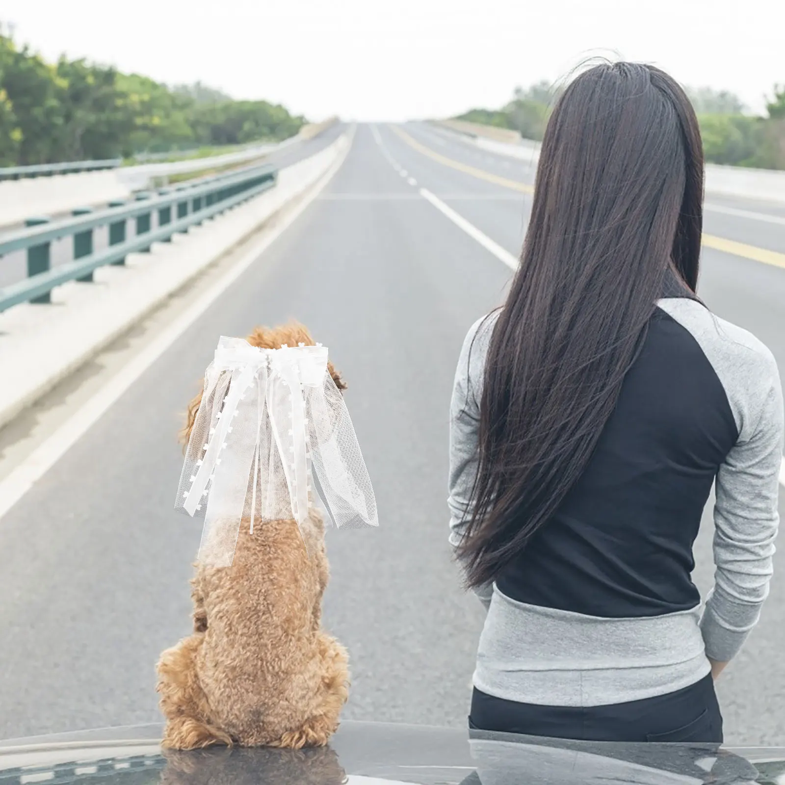 

Comfortable Pet Wedding Veil With Bow For Dogs And Cats Bridal Headpiece Elegant Party Costume Accessory