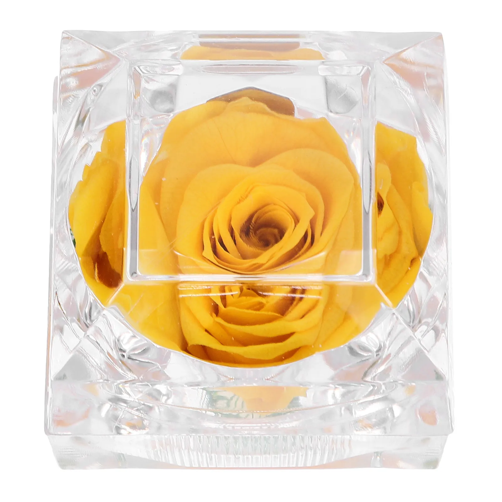 

1pcs Rose Preserved Flower Gift Box Fresh Withered Eternity Bloom For Anniversary Birthday Valentine Girlfriend