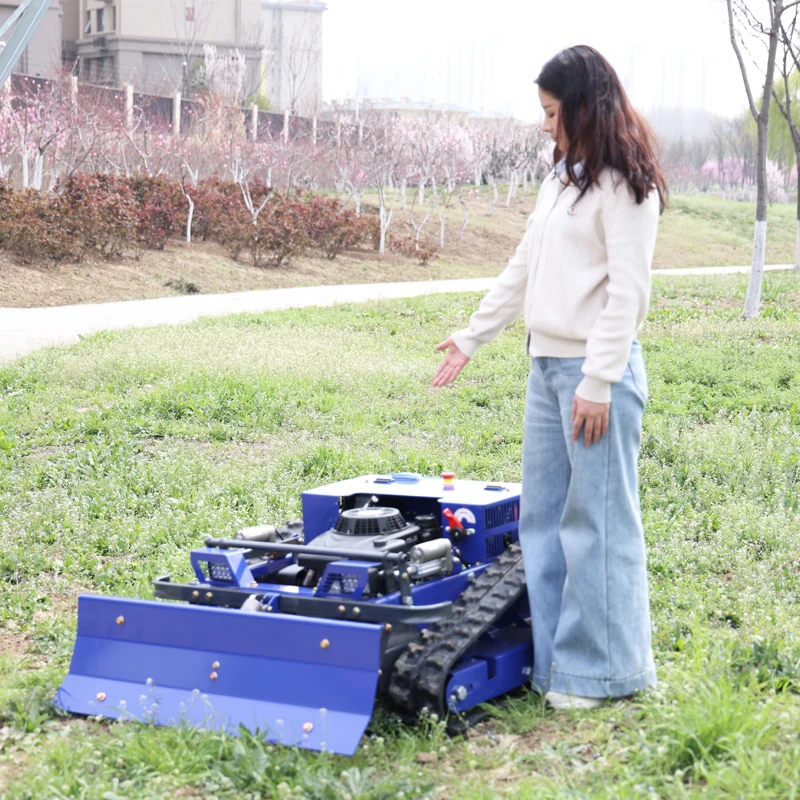 Customized Intellig…