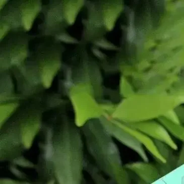 5V 2A Schakelende voedingsmodule LED-luidsprekerbewaking 10W Ingebouwde Power Bare Board