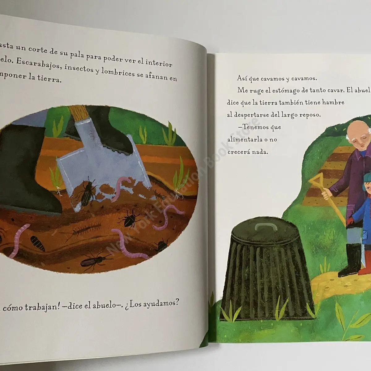 6 Reading Picture Books in The Classic Spanish Original Book Story Teaching Strategy Series