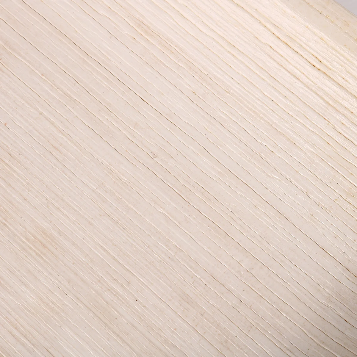 

10Pcs Disposable Paper Plates 8 Inch Eco Friendly Thick Party Tray for Cake Snacks Birthday Wedding Picnic Disposable Plates