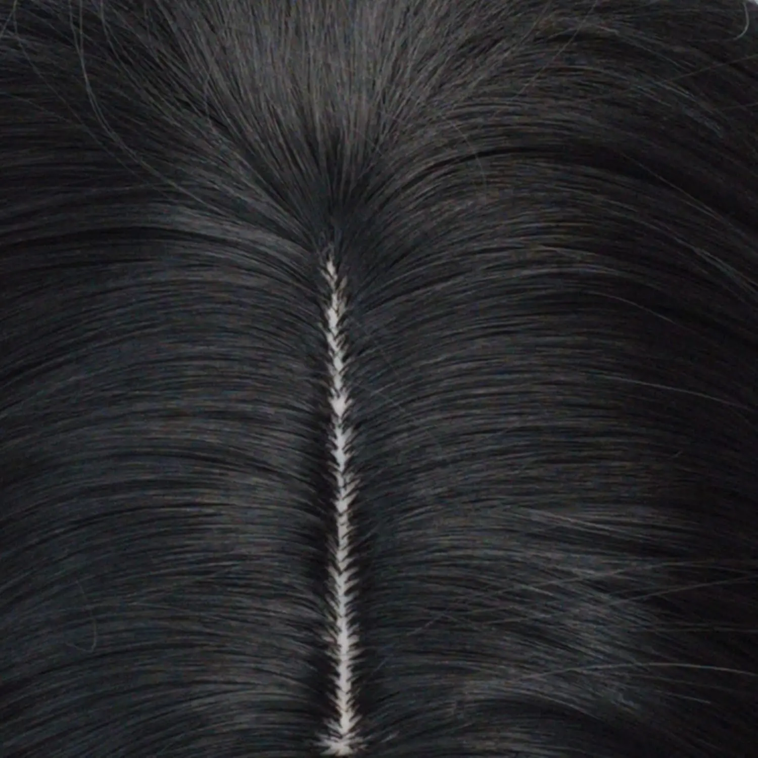 Perruques synthétiques noires droites pour hommes, perruque toupet de fête amusante et réaliste pour Costume d'halloween Severus Snape