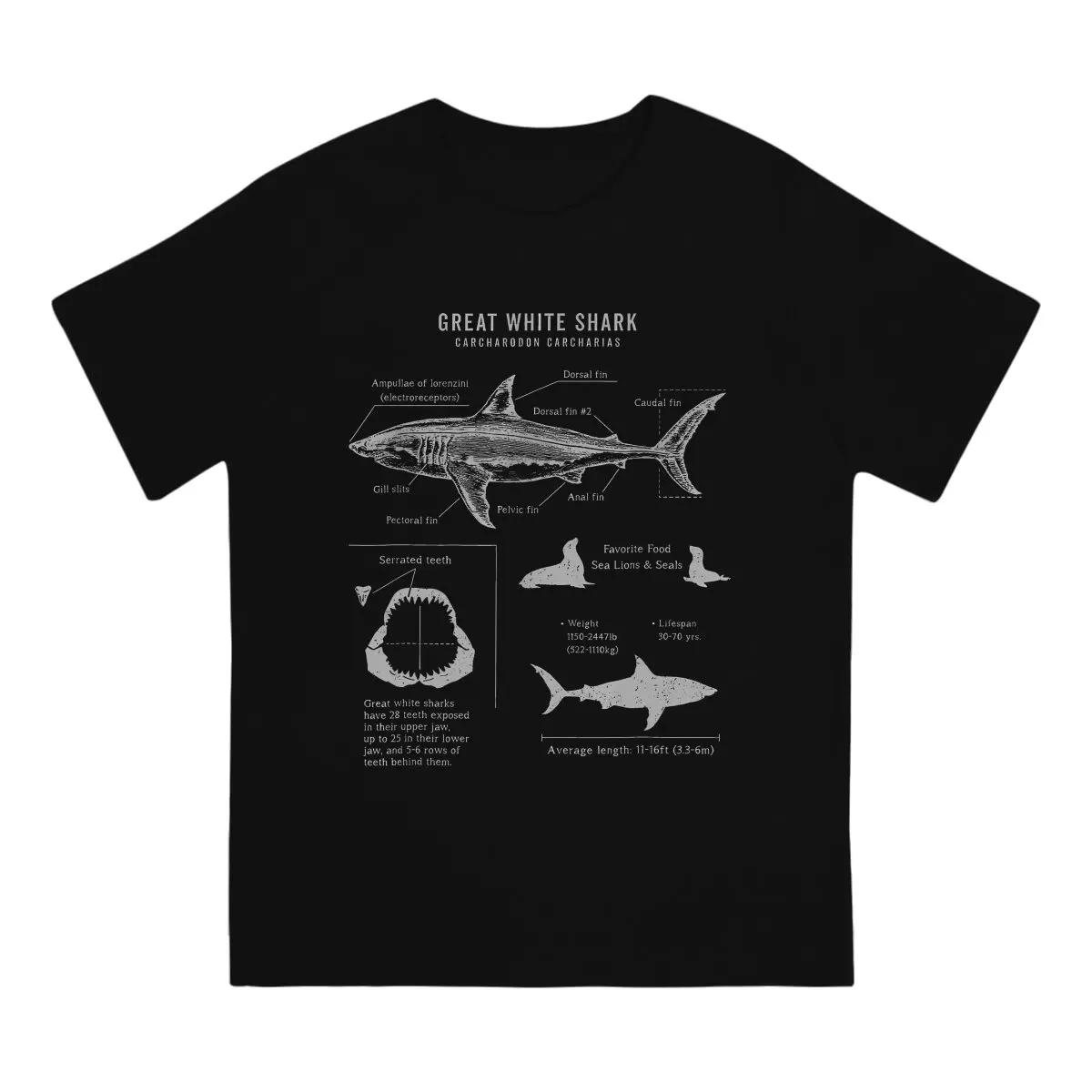 Great White Graphic TShirt Shark Scuba Diving Style Tops Comfortable T Shirt Men Short Sleeve Special Gift Idea