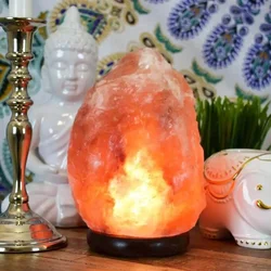 Himalayan Salt Lamp Night Light