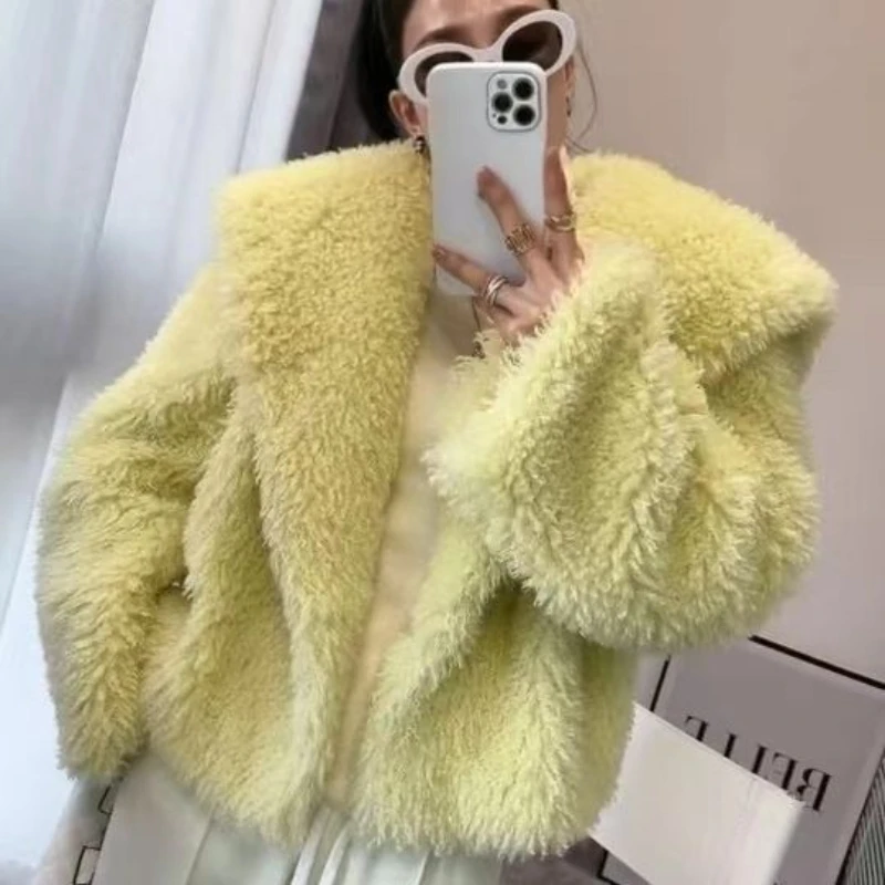 

Winter Women Sheep Curls Lambswool Turn Down Collar Coat Short Thickened Warm Fur Imitation Grass Bomber Jacket Parkas Cardigan