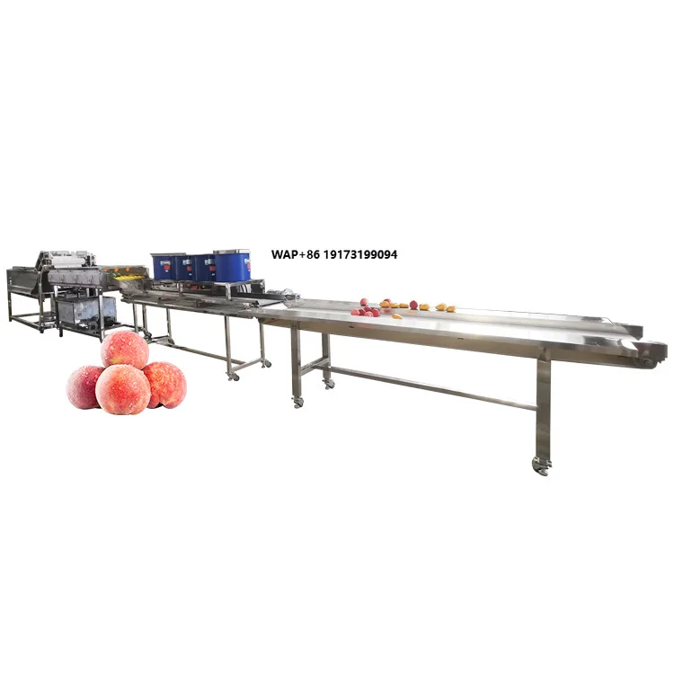 

New Fruit Washing Production Line for Pear Orange Lemon Mango Peach for Vegetable Processing Plant Motor Core Component