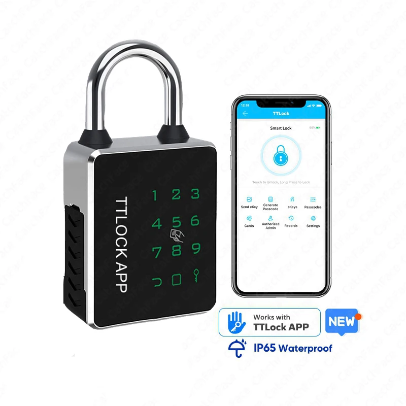 EGFirtor-Serrure de porte électronique intelligente TTLOCK, carte Tuya Andrea IC, RFID, clé de mot d