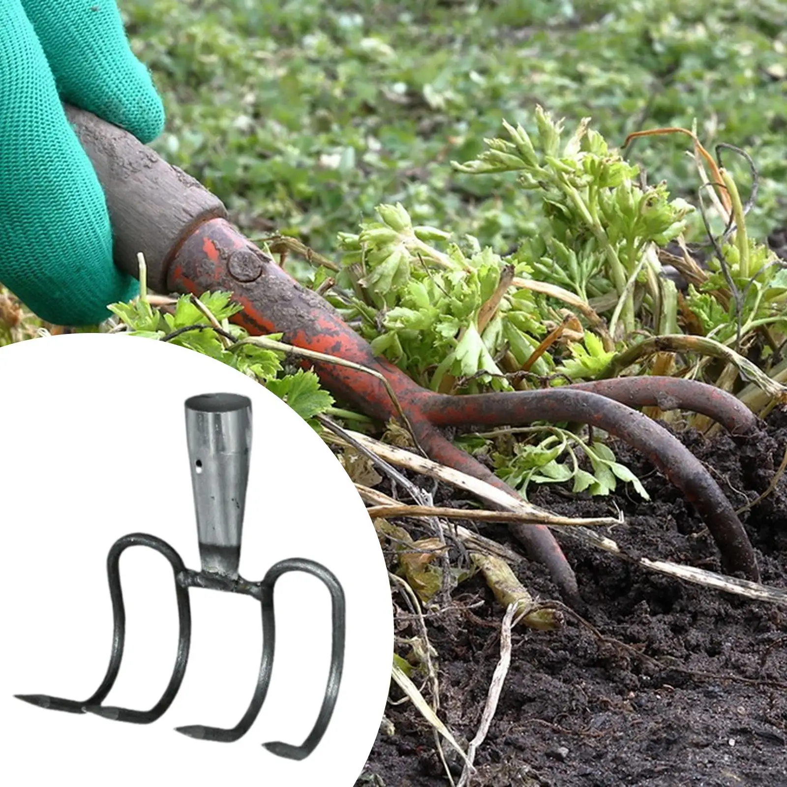 

Landscaping Rake Head Steel Durable Garden Tool Weeding and Soil Preparation Rake for Lawns and DIY Yard Projects