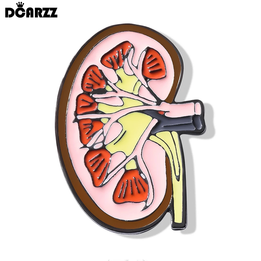 

DCARZZ Anatomy Kidney Enamel Pins Brooch Medical Organ Biology Lapel Badge Jewelry for Nephrology Doctor Nurse Biologist