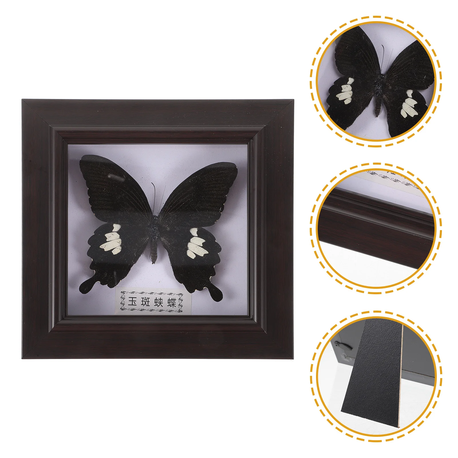 

Simulation Butterfly Specimen Frame Exquisite Wood Acrylic Display Holder For Home Wall Art Decor Office Living Room Bedroom