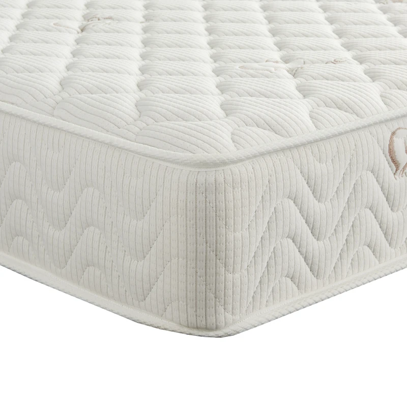 

Queen Size Orthopedic Mattress 180*200*25cm Rolled up Vacuum Compressed for Bedroom Compressed Box Home Furniturepromote sales