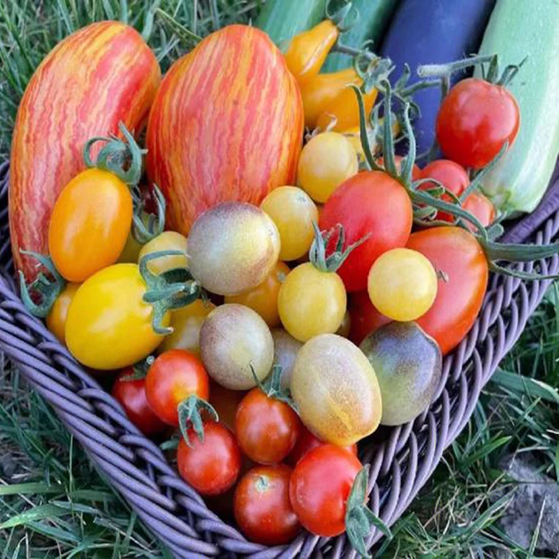 

110V 220V Pizza Dough Pressing Machine Tortilla Making Machine Pancake Maker Machine Roasted Duck Pancake Press Machine