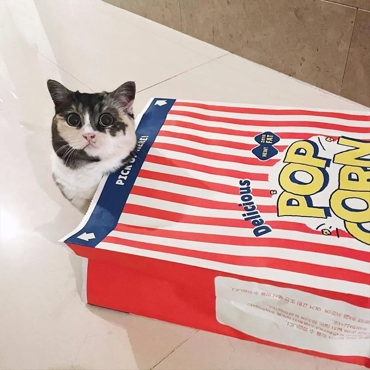 A24I Pet Cats and Dogs Paper Popcorn Paper Bag Puzzle Decompression Funny Cats and Dogs