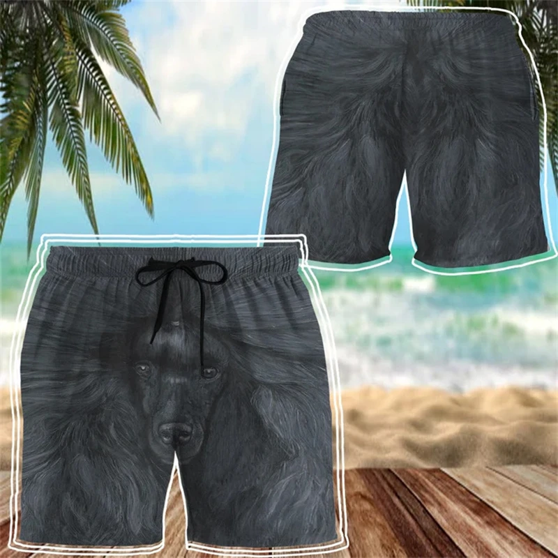 Urlaub Hawaii lustige Tier Grafik Strand Shorts neue Mode Tiger Löwe drucken Straße kurze Hosen Sportswear schnell trocknen Stämme