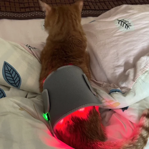 Envoltura de cinturón de terapia de luz roja infrarroja para uso doméstico para el cuidado de mascotas para perros y gatos