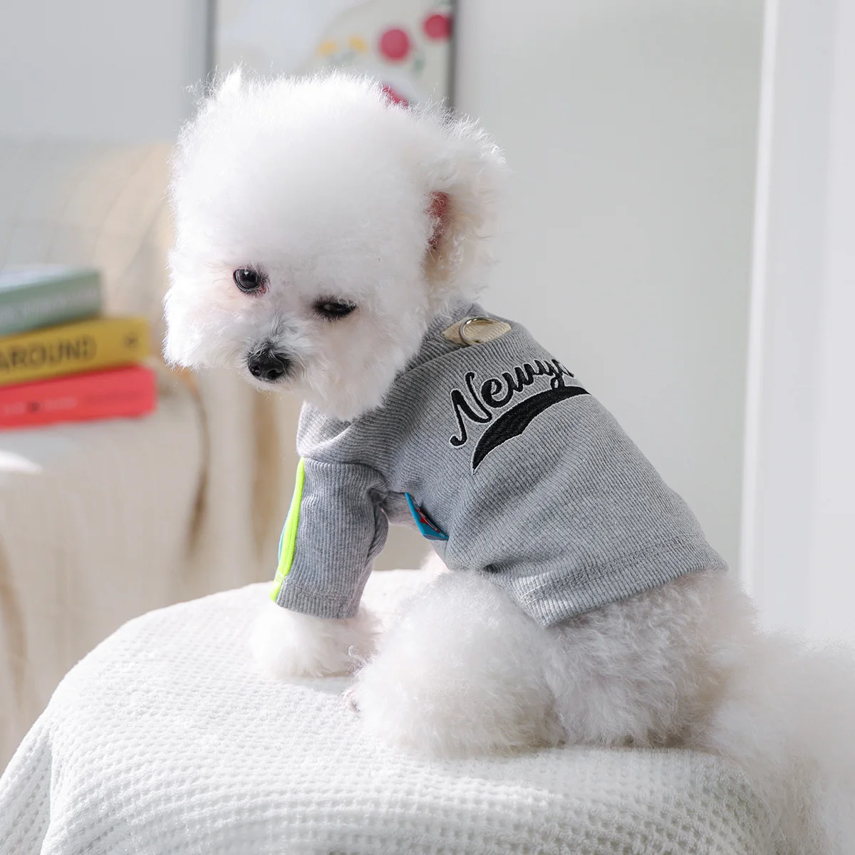 قطعة واحدة من ملابس الحيوانات الأليفة للقطط والكلاب، أكمام مخططة ملونة مريحة للفصول الأربعة، سترة قميص سفلية مع مشبك جر