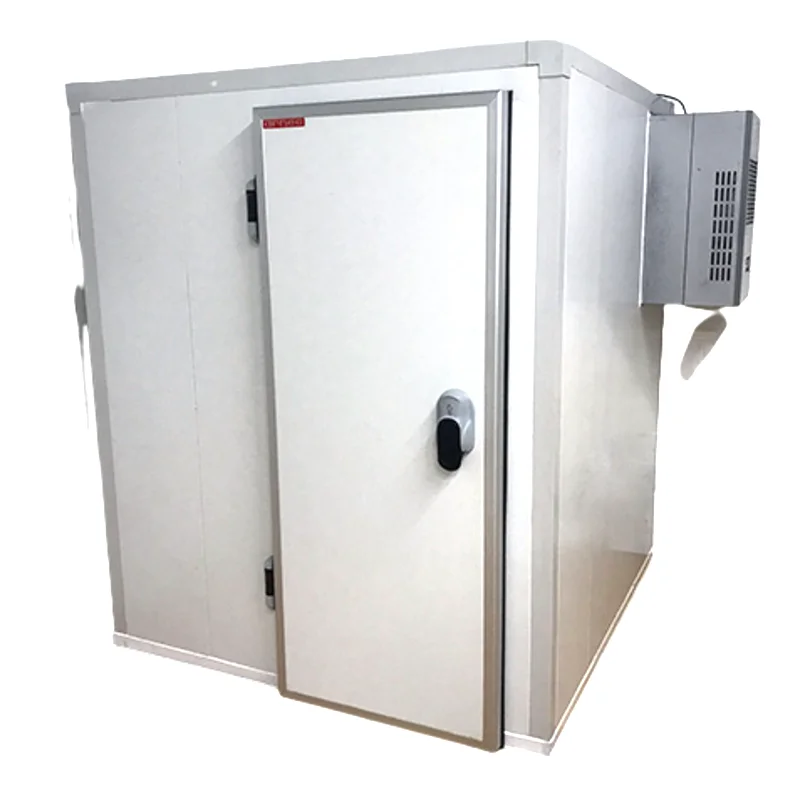 Walk in Refrigerated Chiller Freezer Container Provided Mini Cold Storage Chambre Froide Freezer Room