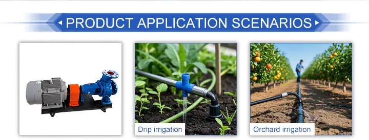 

Customized Electric Agricultural Water Pump Cast Iron Material Electric Motor Centrifugal Pumps Farm Irrigation Water Pump