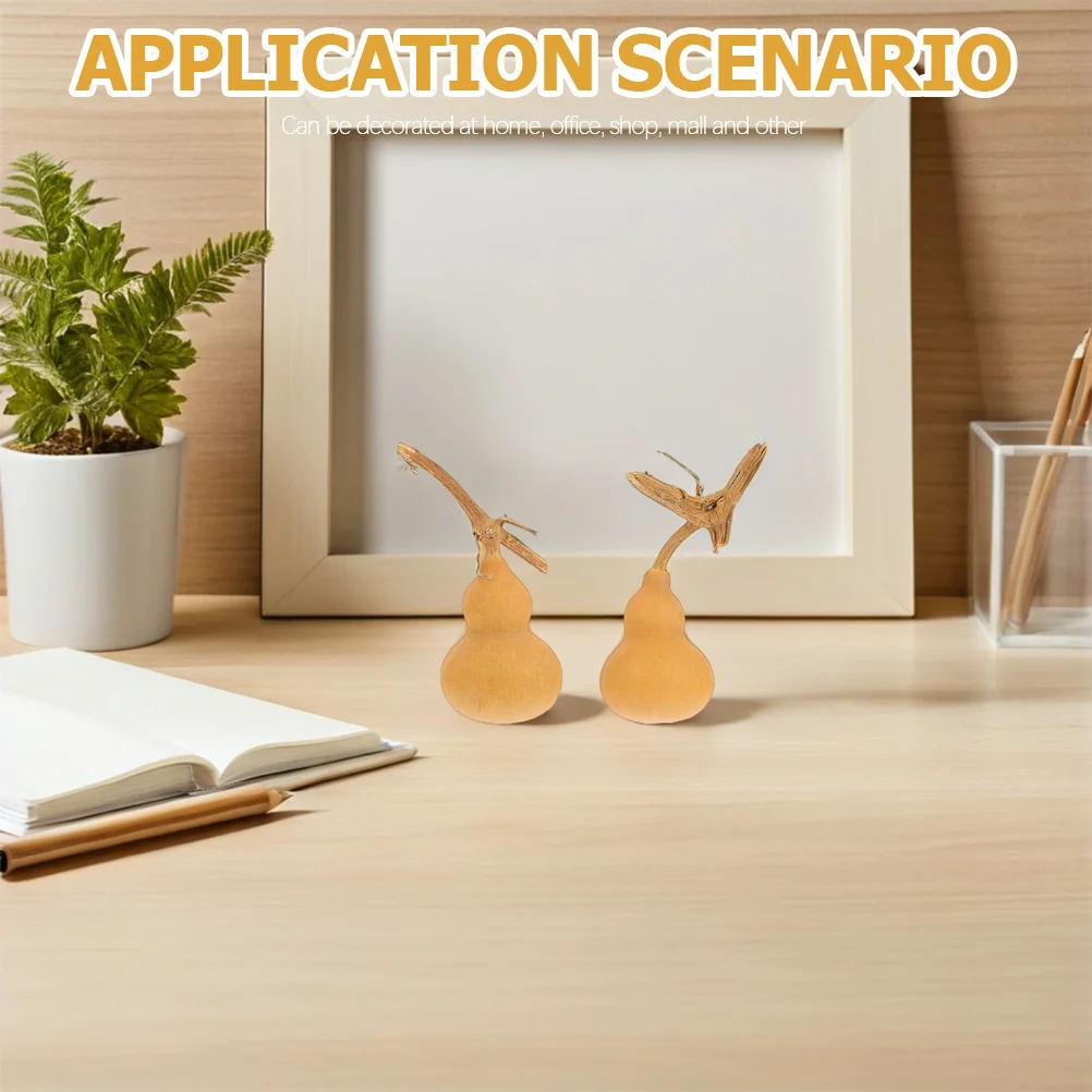 10 قطعة يزين الحرف القرع الطبيعي ديكور سطح المكتب الصغير للحرف اليدوية الصغيرة المنزل مكتب حفلة رمز محظوظ حلية