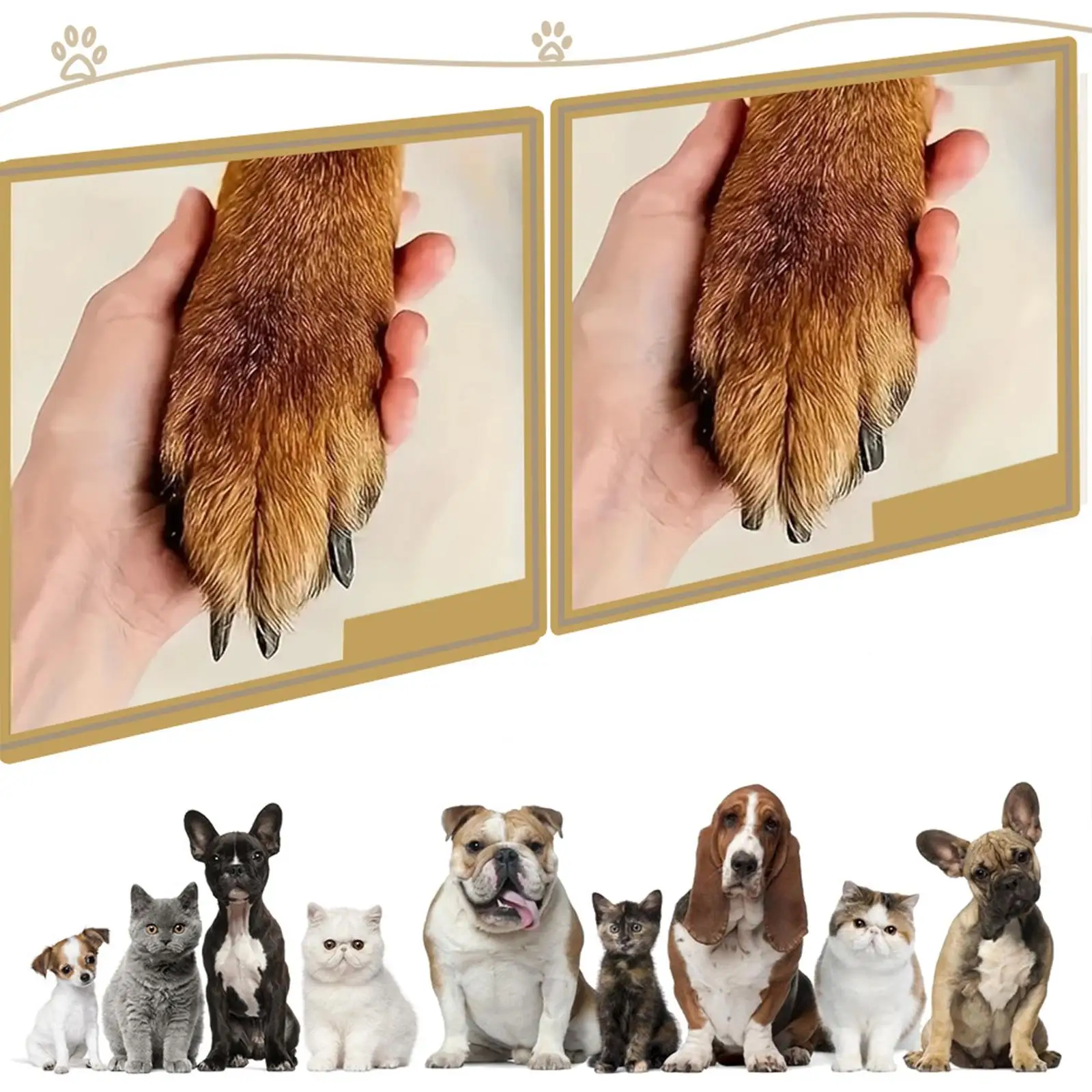 Pet Claw Care Scratching Board Round Dog Nail Grinder Relaxing Nail Filing Grooming Tool with Replaceable Sandpapers