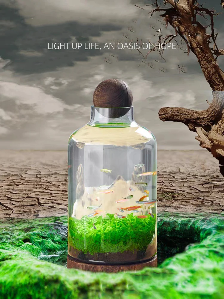 Imagem -05 - Garrafa Ecológica Micro Paisagem Vidro Ecológico Fish Tank Aquário Aquário Small Fish Water Grass Bottle