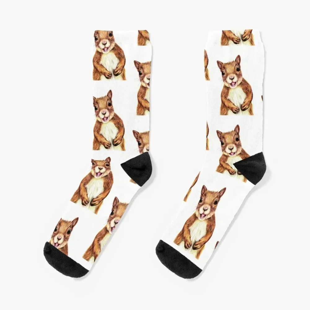 

Seamus the squirrel says hello Socks New year's loose warm winter Luxury Woman Socks Men's