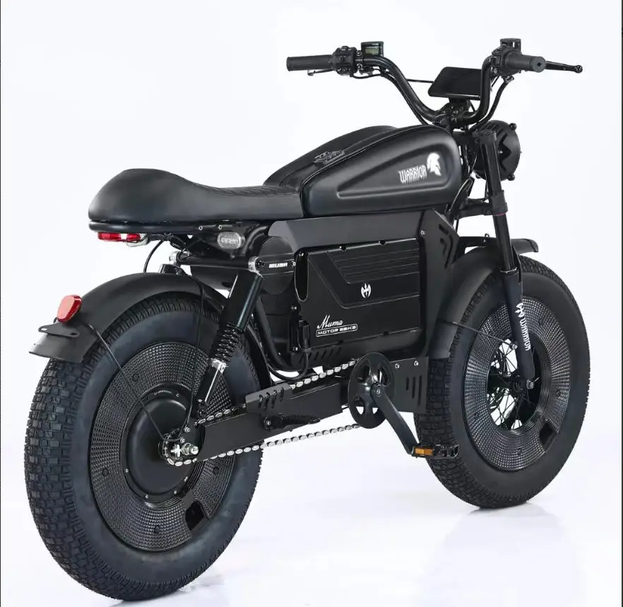 new ZPW Black Warrior motorcycles 3000w motor 48V 60AH battery With protective case E bike 20inch tire Off-road Electric Bike image 10