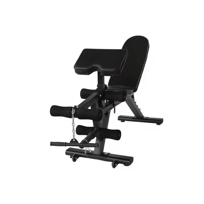 

Home Gym Weight Lifting Dumbbell Bench Foldable with Safety for Full Body Strength Training