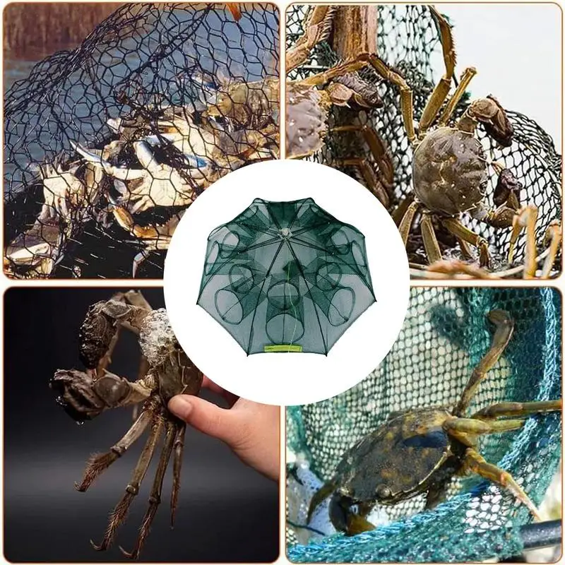 4/10/16 Holes Portable Fishing Net Shrimp Cage Nylon Foldable Fish Trap Outdoor Rugged durable Crab Net Catching Net Bag Tool