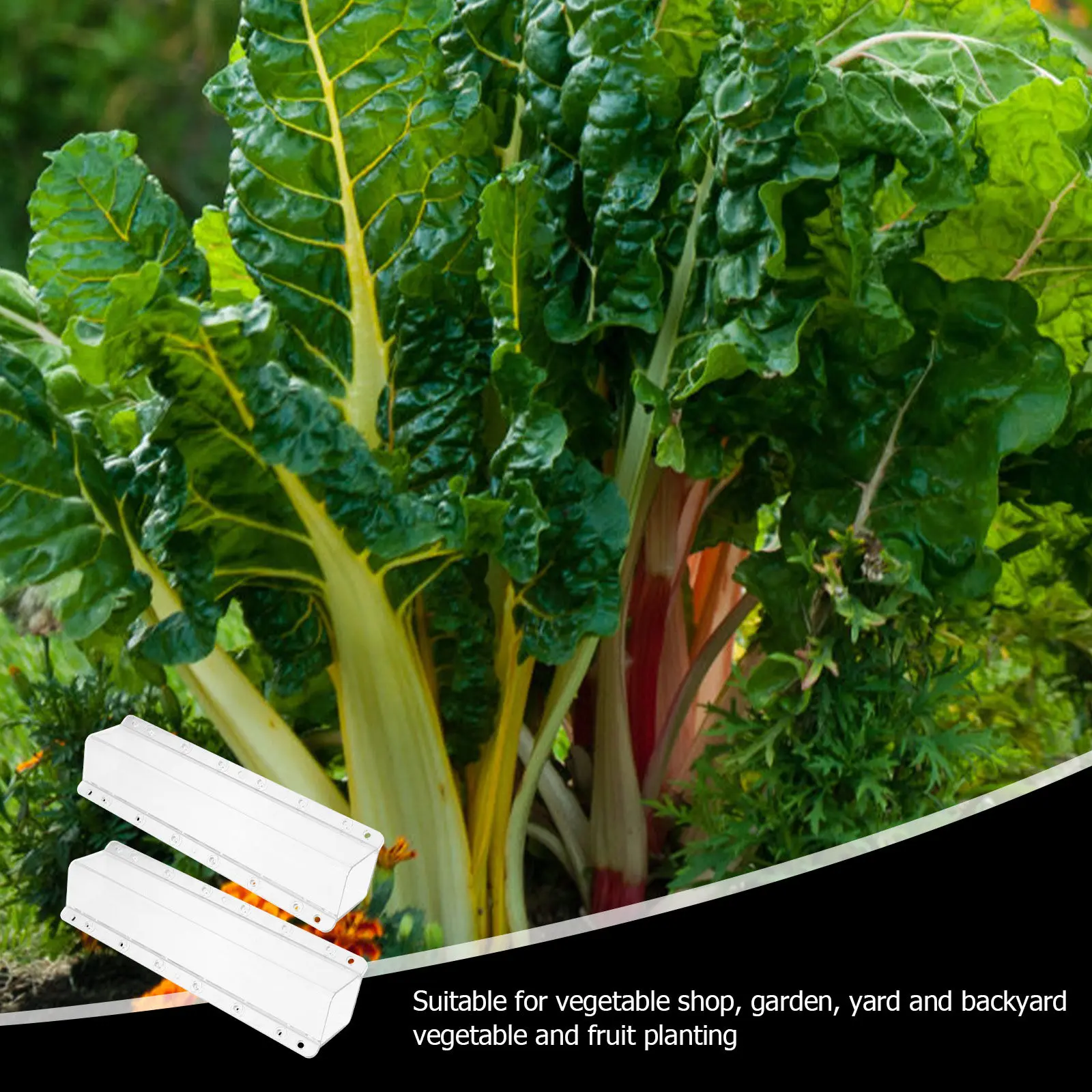 2Pcs Square Transparent Cucumber Shaping Mold Vegetable Growing Mold Fruit Growth Tool Garden Fruit Shaping Moulding Container