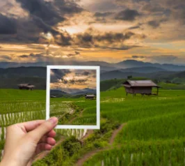 DDS Pulse Bioelectric Massager for Acid Alkali Level Regulation Meridian Dredging Physiotherapy Electrolyte Balance Detoxificati