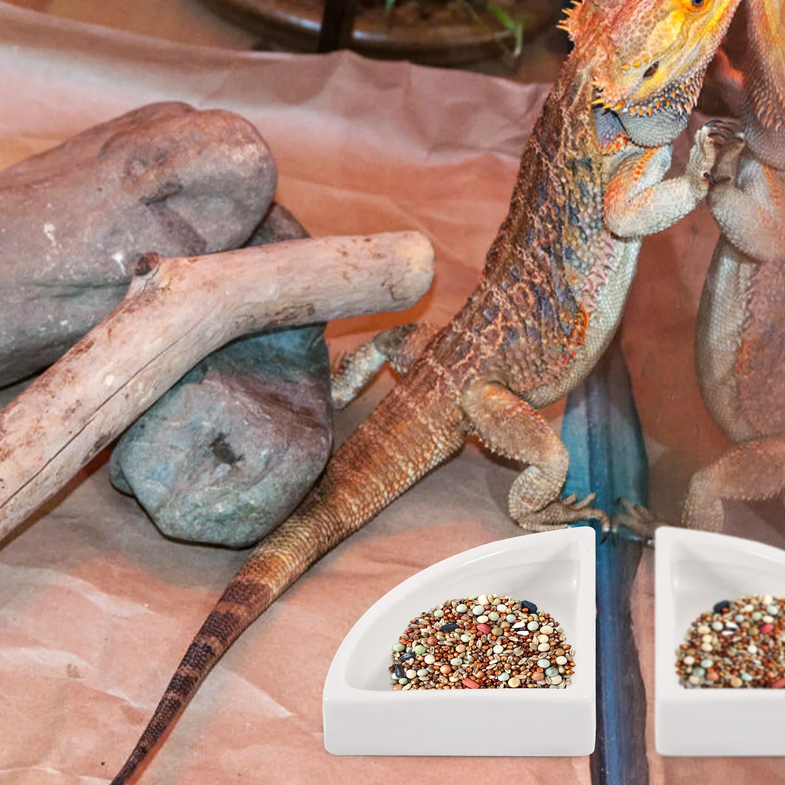 

Ceramic Reptile Feeding Dish Stable Water Bowl Lizards Turtles Snakes Iguanas Pet Supplies Accessories Reptile Feeding Dish