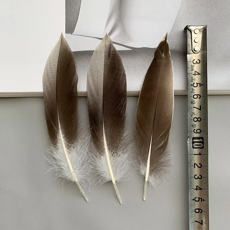 Natural Wild Duck Feather Feathers 10-17cm DIY Craft Clothing Decoration Handmade Accessories for Dress and Costumes
