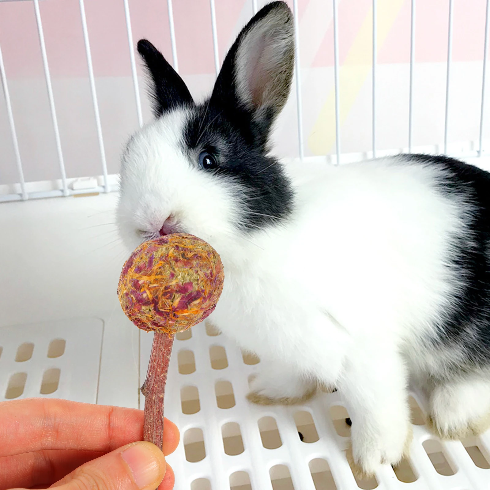 

10pcs Rabbit Rods Safe Natural Chew For Guinea Pig Hamster Small Pets Gum Massage Teeth Rabbits Teeth Care Supplies Care