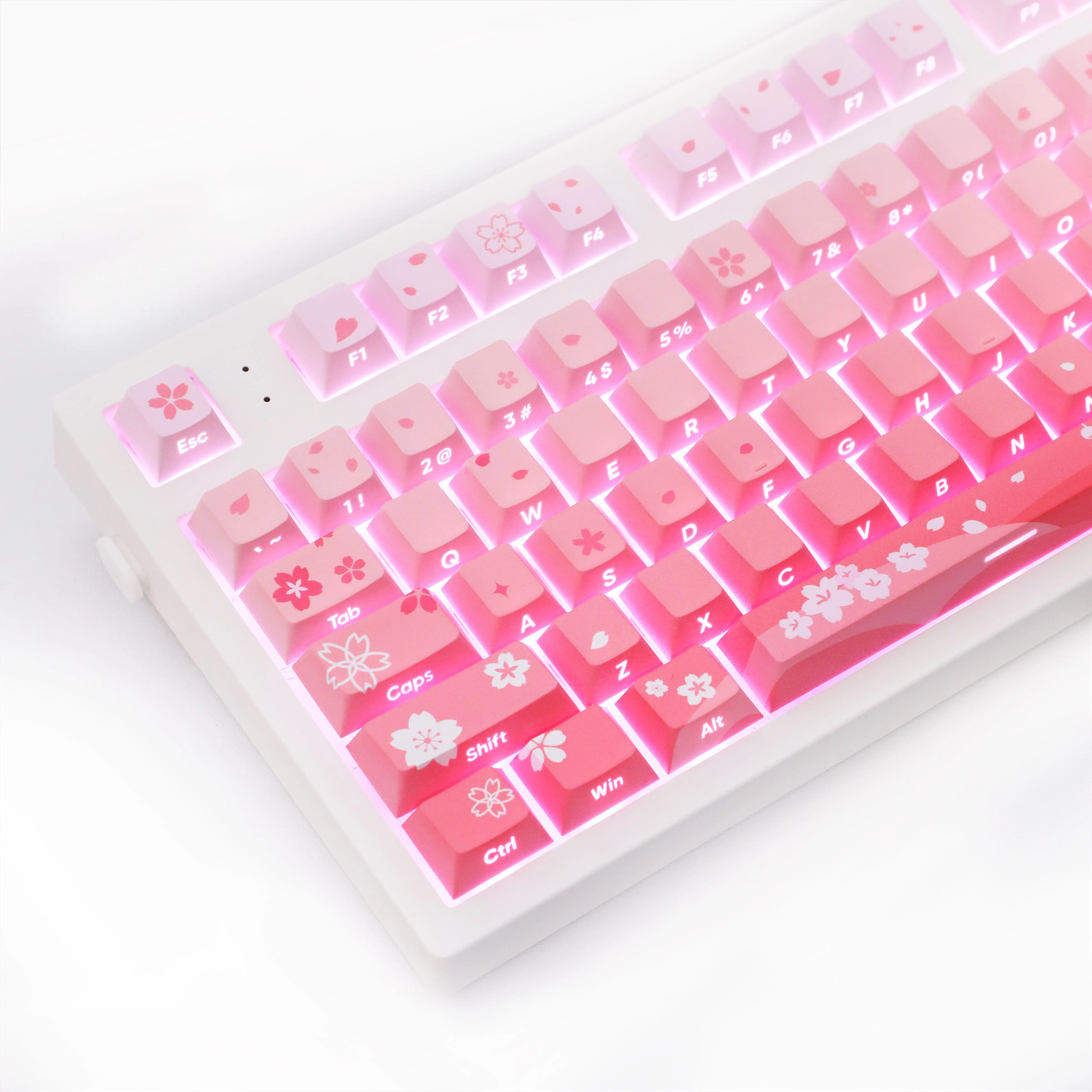 Imagem -03 - Sakura Falling Violet Pbt Keycaps Altura para Faça Você Mesmo mx Switch Teclados Mecânicos Presente Conjunto de 115 Chaves