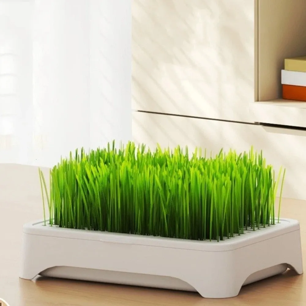 Plastic Cat Grass Planter Anti-Pull Out Self-planted Tray Hydroponic Tray Cultivation Pot 3 Layer Soil-Free Nursery Box