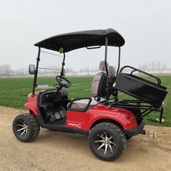 2024 New Style Design Cheap Price Safe Factory Direct Mini 2 Seat Electric Golf Cart with Cargo box