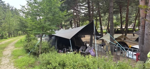 실물 포토 리뷰