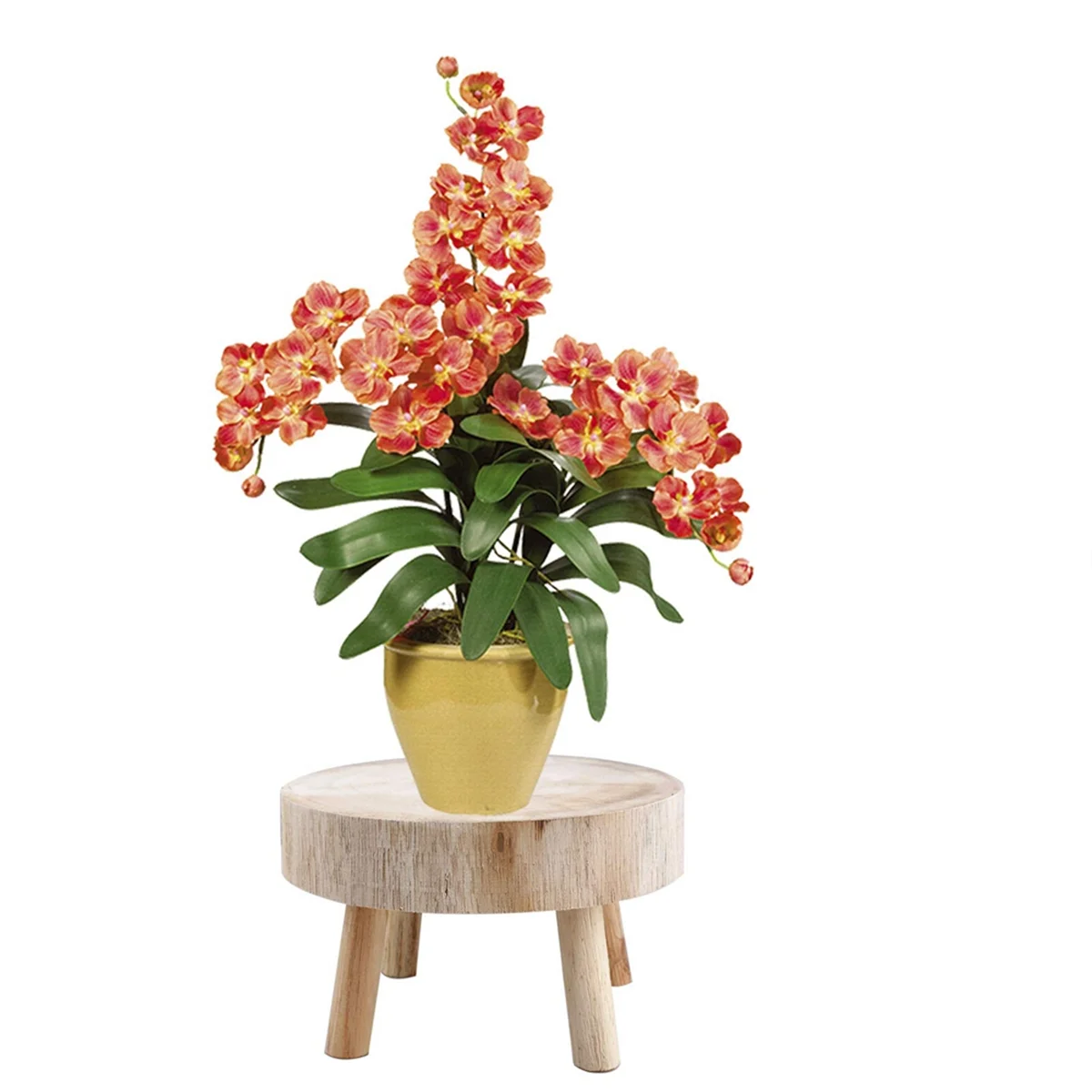 

ABFKW Mini Wooden Stool Display Plant Stand Decorative Wood Plant Stool Bonsai Holder for Indoor Outdoor Home Garden M
