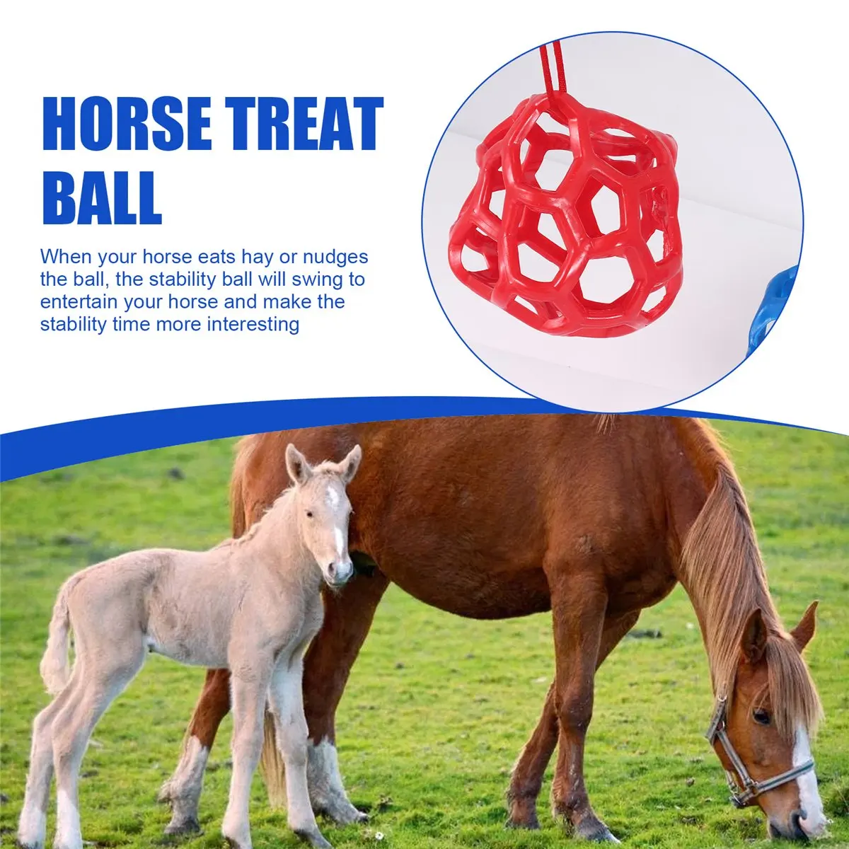 A3#(Upgraded) 1466F 2 Packs Horse Treat Ball Hay Play Ball,Goat Hay Ball Hanging Feeding Toy for Sheep Horse Goat Feeder and Rel