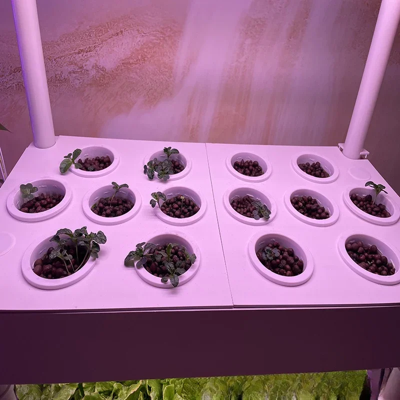 Kleine binnentuin verwijderbare mini hydrocultuur groenteteeltrek