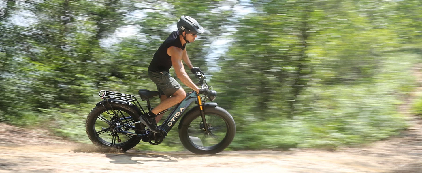 Beach Electric Bicycle