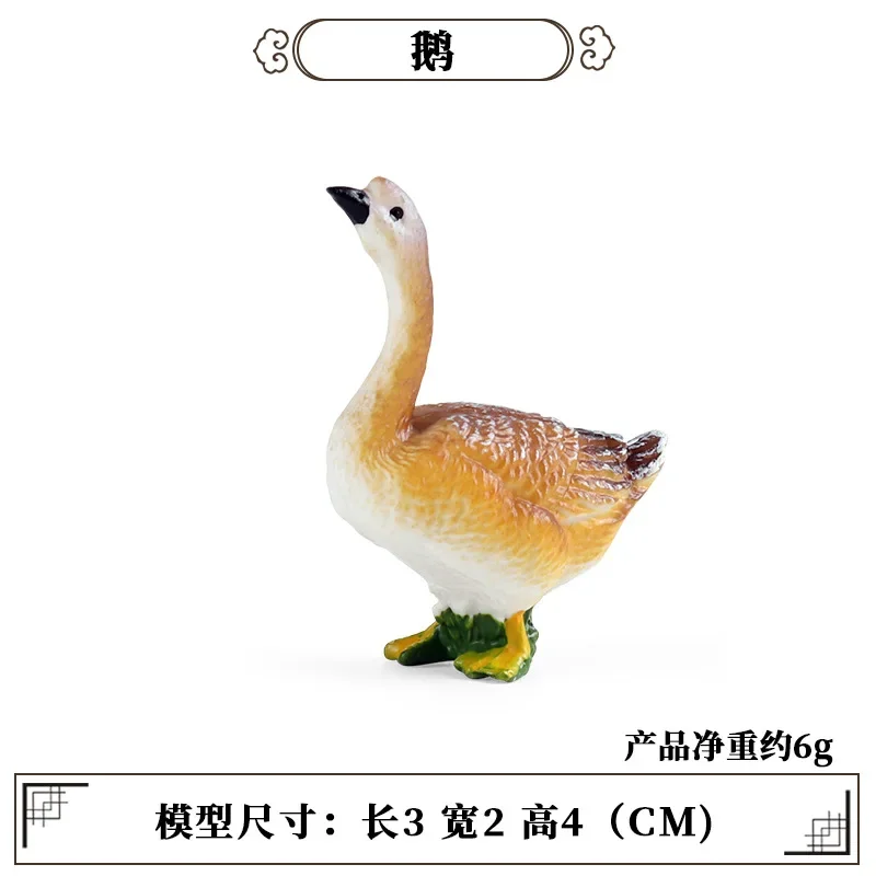 Education Teaching Tool Poultry Animal Mini Model Cow Chicken Duck Goose Pig Goat Simulation Science Biology Kids Decoration Toy