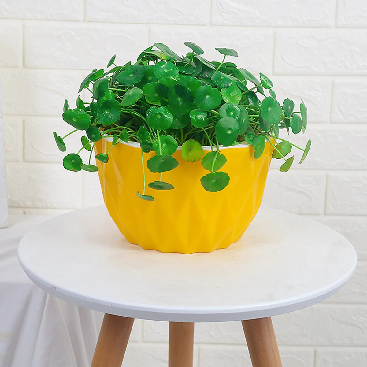 1Pcs Hanging Flower Pot Plastic Automatic Water Feeding System Breathable Base Clear Water Indicator Floor Safe Indoor Plant Pot