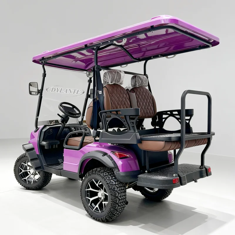 

2, 4, 6, 8-местная электрическая тележка для гольфа, газовая/батарея, индивидуальный дисковый тормоз, оптовая продажа, багги, гольф-кар, электрический клубный автомобиль на продажу