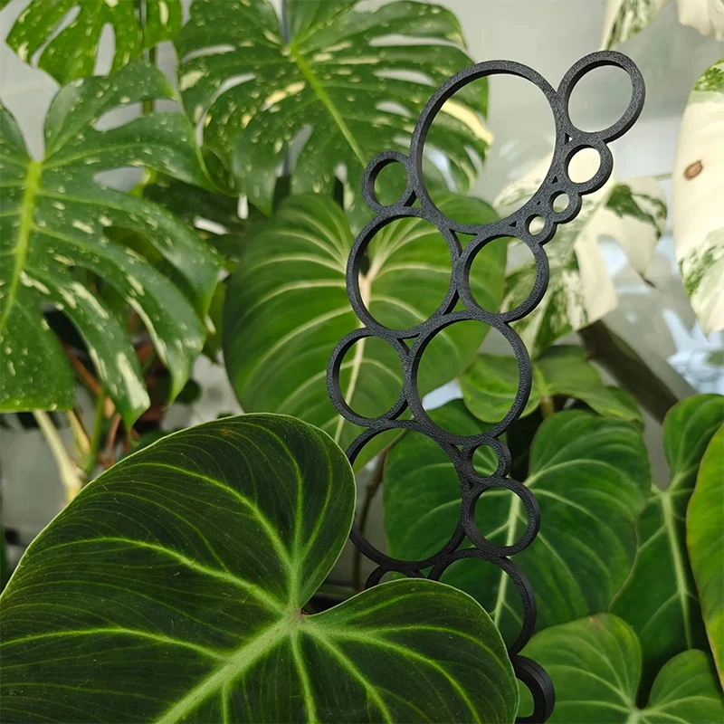 1 soporte de hierro para plant - Monstera Thai Constellation reseña y precio