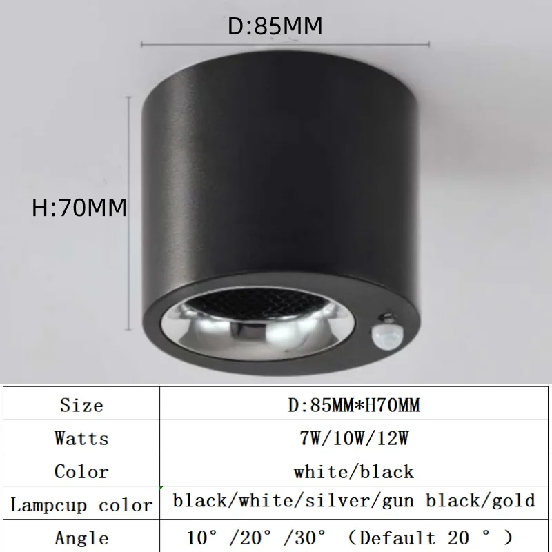 Human body induction light, entrance hallway, exposed ceiling light, automatic light sensing night light