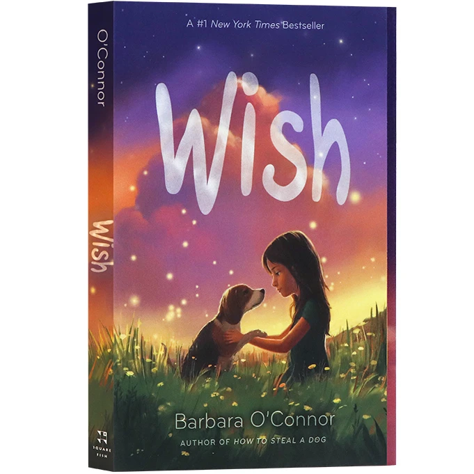 Wish Barbara O'Connor, Children's books aged 7 8 9 10 English book, Fantasy novels stories 9781250144058