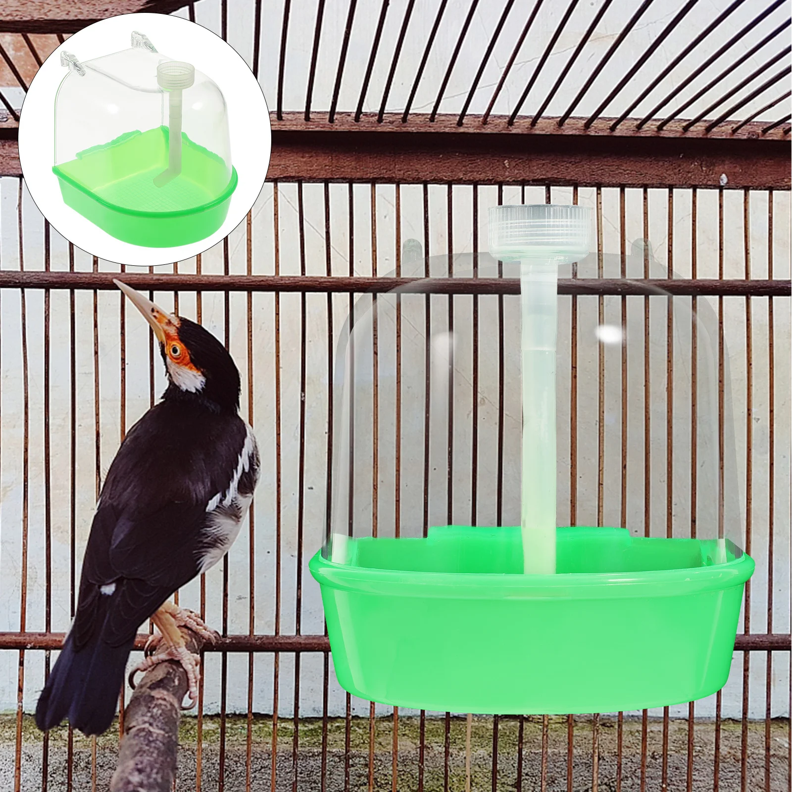 

Bird Bath Cage with Cover for Finches Canaries Lovebirds Design Maintenance Fun Bathing Experience